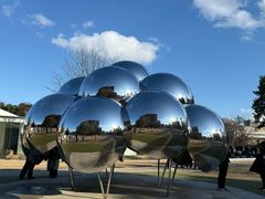 -金泽21世纪美术馆