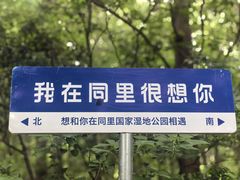 -同里国家湿地公园