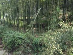 -众神白水涧景区