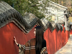 -向外鱼乐·土菜·虹鳟鱼