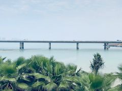 -海堤纪念公园