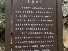 -阳台山自然风景区