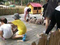 -北戴河集发农业梦想王国