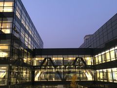 -首都医科大学附属北京天坛医院