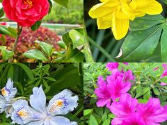 -新虹桥中心花园