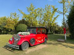 -东台西溪天仙缘景区