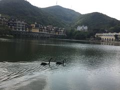 -东部华侨城