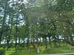 -长春市南湖公园