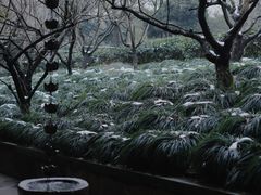 -灵隐飞来峰景区
