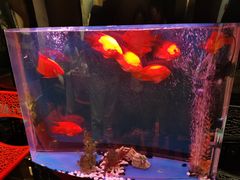 -湖庭壹品鸭王·传统北京烤鸭·别墅私房菜·庭院宵夜(江宁店)