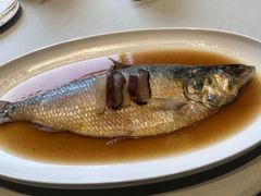 -蝶园·装修中(BFC外滩金融中心店)