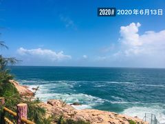 -广东惠东海龟国家级自然保护区
