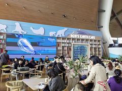 -抱抱地球咖啡馆(国家海洋博物馆店)