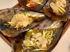 -白仁仔· 活烤海鲜 宵夜(豫园店)