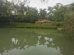 -江头公园