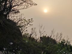 -枸杞岛