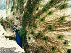 -南京金牛湖风景区