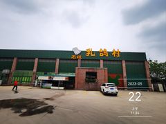 -石岐乳鸽村(南海第三分店)