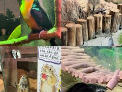 -正佳雨林生态植物园