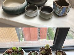 -金科花卉市场