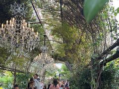 -The Grounds of Alexandria