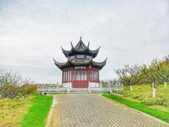 -上海海湾国家森林公园