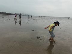 -奉贤海滩
