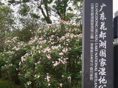 -广东花都湖国家湿地公园