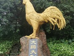 -海口火山口国家地质公园