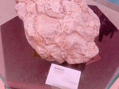 -陕西自然博物馆