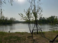 -东郊湿地公园