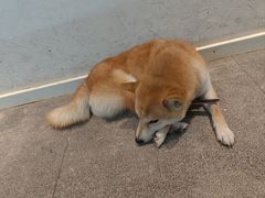 -三目仓咖啡(贤南路店)