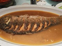 -豫丰汇河南名菜楼(武记餐饮)