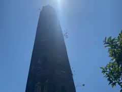 -上海佘山国家森林公园天马山园