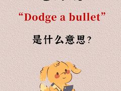 -英孚教育青少儿英语(长宁来福士中心)