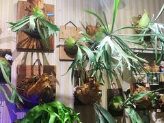 -Rabbit Cafe私房西餐甜点咖啡(栖霞路店)