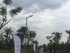 -上海长兴岛郊野公园