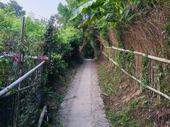 -大唐贡茶院