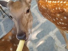 -南戴河国际娱乐中心