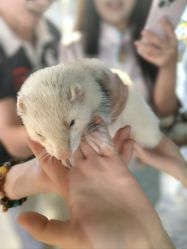 -Zoolung Zoolung动物主题公园(海信广场店)