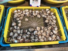 -东河市场