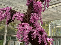 -上海鲜花港