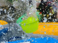 -将军关探险漂流