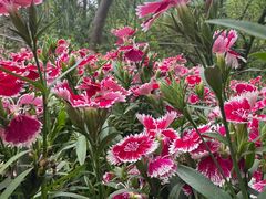 -贵阳市花溪国家城市湿地公园