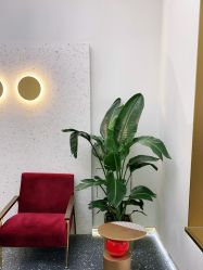 -JUNO hair salon