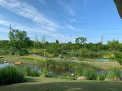 -上海长兴岛郊野公园