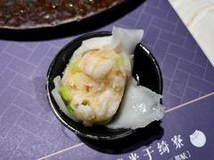 -点都德·毕德寮