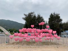 -西涌国际滨海旅游区