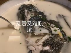 湘湖特色鱼头-湘湖大院(越王路店)