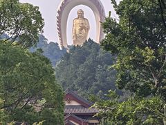 -庐山风景名胜区-东林大佛